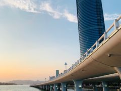 -演武大桥观景平台