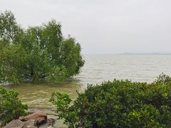 -深圳湾公园(南山区)