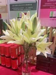 -一本X目奈子日式单根美睫专业店
