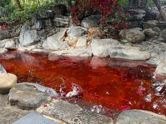 -湖泉半山温泉(湖泉生态园)