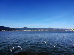 -滇池海埂公园
