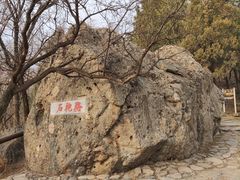 -阳台山自然风景区