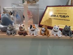 -Pets First伊珊娜洗护·精致美容·家庭式寄养(新会路店)