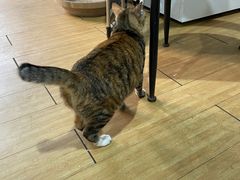 -甜心(广厦街店)