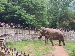 -西安秦岭野生动物园