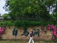 -白马涧龙池景区