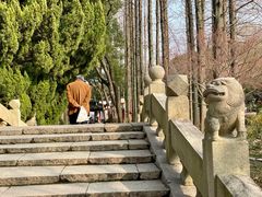 -上海醉白池公园