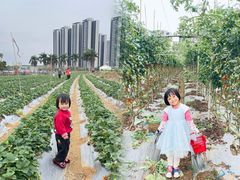 -光明小镇欢乐田园