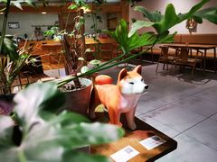 -柴务处·柴犬主题狗咖