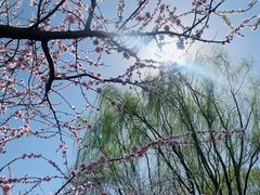 -三里河公园