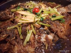 -老板恋上鱼(荣盛广场店)