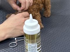 -乐琪宠物医院·犬猫专科·骨外科·急重症