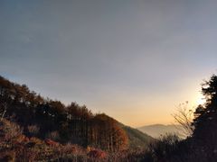 -四明山国家森林公园