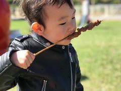 -大连铭湖国际观光牧场