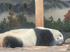 -西安秦岭野生动物园