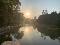 -广西大学(大学东路校区)
