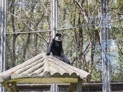 -上海野生动物园