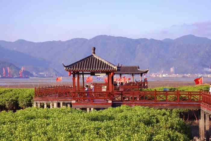 北山红树林海岸公园"99福州市罗源县北山村和巽屿村浅海滩涂.