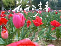 -尚湖风景区