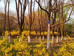 -奥林匹克森林公园北园-停车场