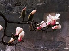 -东华门大街小区