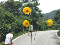 -木兰云雾山