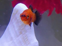 -七宝蔬菜农副产品综合交易市场-停车场