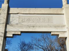 -紫金山山顶公园