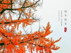-大雁塔北广场音乐喷泉