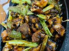 铁板黄鳝-顺发饭店