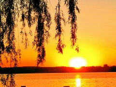 -丁香湖公园