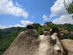-大岭沟猕猴桃谷风景区