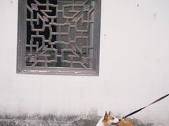 -常熟方塔园