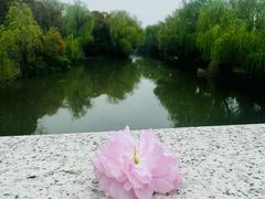 -同里国家湿地公园