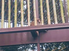 -苏州环秀晓筑养生度假村