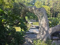 -广西壮族自治区药用植物园