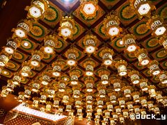 -新加坡佛牙寺龙华院