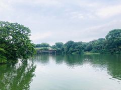 -河川生态园