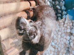 -南昌融创海世界