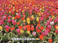 -大宁公园