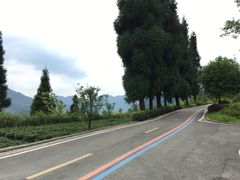-太阳湾风景区