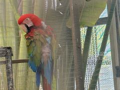 -南宫五洲植物乐园