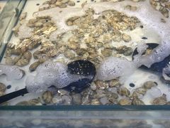 -川骄海鲜自助(河东店)