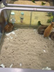 -meland亲子乐园•派对•研学(苏州悠方购物中心店)