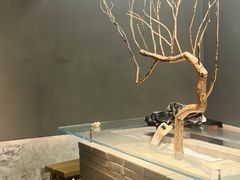 -喜茶(深圳万象城黑金店)