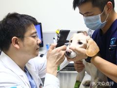 -谐和益家动物医院·免疫绝育·血液透析·宠保定点医院(高新伊藤分院)