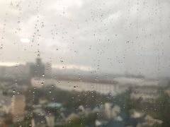 -张一元茶庄(望京店)