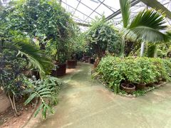 -呀路古热带植物园