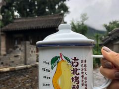 -古北烤梨