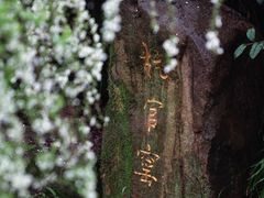 -中国茶叶博物馆(双峰馆区)